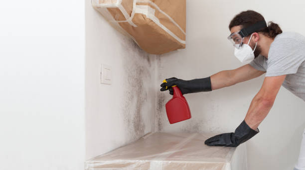 Professional Crawl Space Mold Removal technician working in Onekama, MI