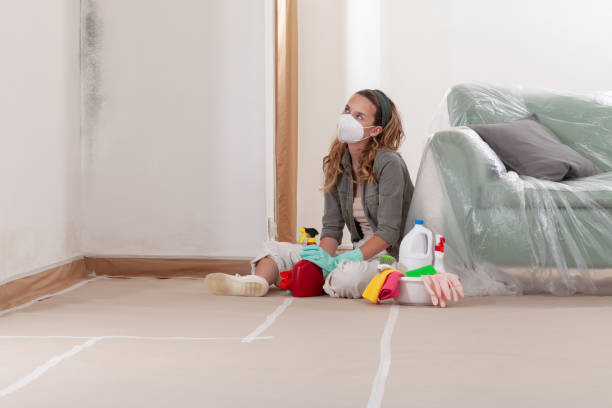 Reliable Crawl Space Mold Removal contractor in Onekama, MI by WQB Mold Removal
